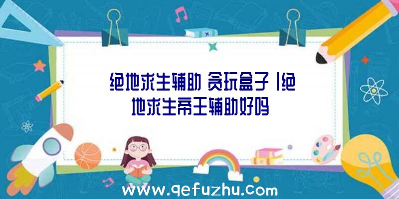 「绝地求生辅助